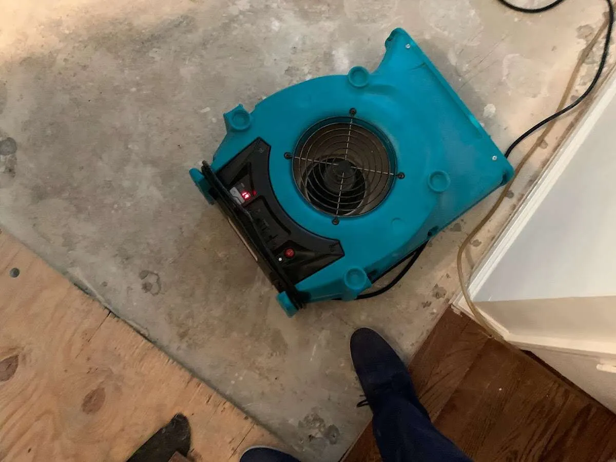 Air mover drying subfloor during Commercial Water Damage Restoration in Rose